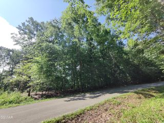 3347 Mountain View Ln, White Pine, TN 37890