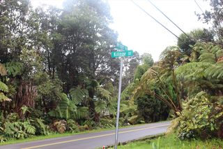 Kilinoe St #38, Volcano, HI 96785