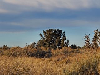 14th Ave SW, Rio Rancho, NM 87124