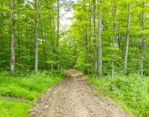 Sanitarium Hill Rd, Mainesburg, PA 16932