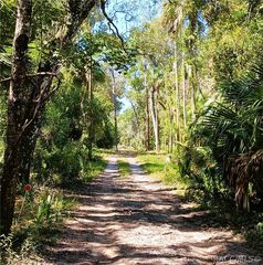 9302 W  Tall Pines Ct, Crystal River, FL 34428