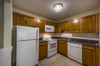 Apartments For Rent In Grafton Ma 1 Rentals Trulia Apartments For Rent In Grafton Ma 1 Rentals Trulia