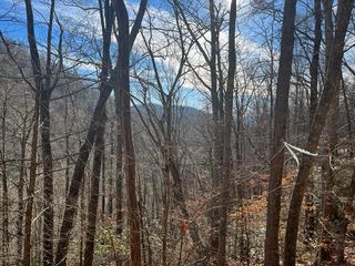 14 N  Fork Rd, Sylva, NC 28779