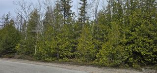 Balsam Dr #332, Presque Isle, MI 49777