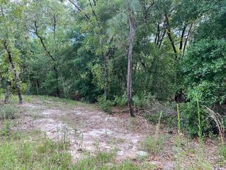1108 E  Van Gogh Ct #6, Hernando, FL 34442