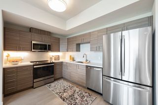 815 B St #309, San Rafael, CA 94901