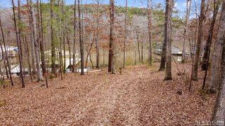 13 Birdsong Rd, Ebony, VA 23845