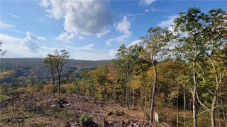 Humphrey Road, Narrowsburg, NY 12764