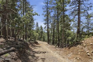 4696 S JACK PINE Road #17, Prescott, AZ 86303