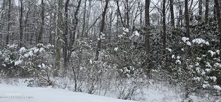 Beechwood Dr, Jim Thorpe, PA 18229