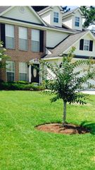 279 Longleaf Cir, Pooler, GA 31322