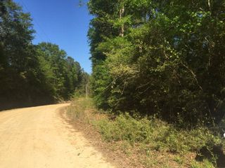 00D4 Lowman Loop, Dozier, AL 36028