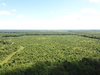 S  County Road 4223, Simms, TX 75574