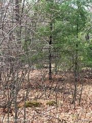 000-303 Otter Trail Rd, Alger, MI 48610
