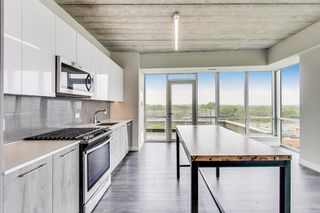 1743 N  Leavitt Ave #604, Chicago, IL 60647