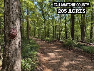173 Cascilla Rd, Cascilla, MS 38920