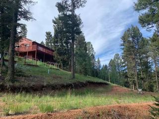 383 Candle Lake Dr, Divide, CO 80814