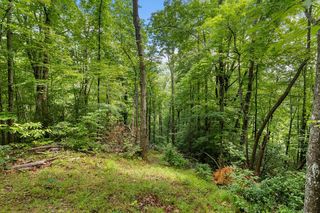 Brandy Ln, Franklin, NC 28734