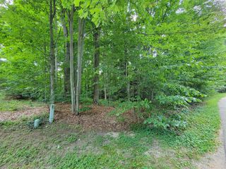 Knollwood Ln, Gaylord, MI 49735
