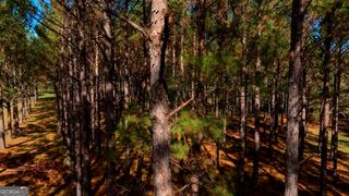 Bethel Rd #8, Sylvania, GA 30467