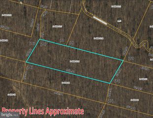 Tbd Howard Delawder Ln, Mathias, WV 26812