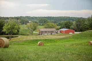 10536 Reynolds Rd, Orrick, MO 64077