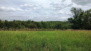 Map 1 Lot 50 Colburn Road, New Boston, NH 03070