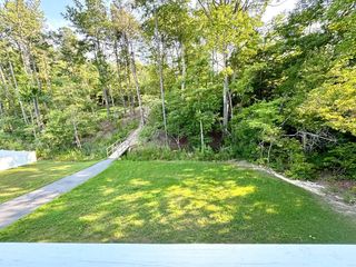 backyard view, dog park in wooded area