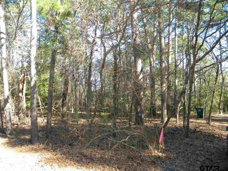 Lot 41 Timberidge Trl, Hawkins, TX 75765