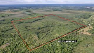 XXX Digs Dr, Wright, MN 55798