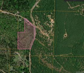 McDermontt Trl, Conway, AR 72034