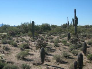 0 E FLORENCE-KELVIN Highway #0, Florence, AZ 85132