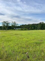 Liberty Hill Dr, Evergreen, AL 36401