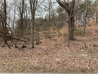 Spencer Dr #RD_LOT-9, Spencer, TN 38585