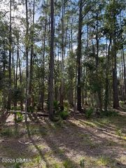 207 Ocala Ct, Georgetown, FL 32139
