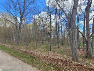 Lot 290 Oakridge Dr, Perrinton, MI 48871