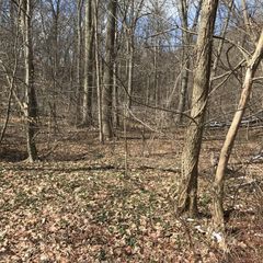 Beechnut St, Bridgman, MI 49106