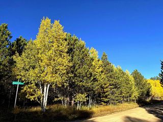 75 Overland Dr, Ward, CO 80481