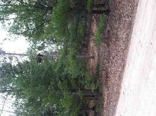 June Ave, Saint Helen, MI 48656
