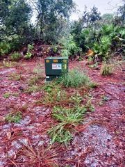 Park Forest Blvd #154, Mount Dora, FL 32757