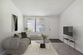 2811 Ruleme St #207, Eustis, FL 32726