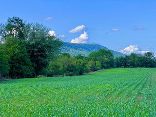 13073 Turleytown Rd, Broadway, VA 22815