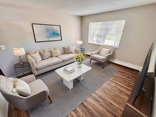 28 El Paso Blvd #1, Manitou Springs, CO 80829