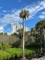 6361 Pelican Bay Blvd #503, Naples, FL 34108