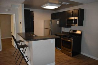 apartments for rent in redlands ca 31 rentals trulia