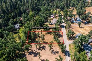 27269 Forrest Oak Rd, Pioneer, CA 95666