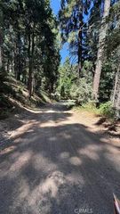 34207243 Mojave River Rd #53, Cedarpines Park, CA 92322