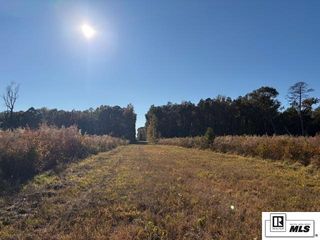 123 Sulphur Springs Rd, Bastrop, LA 71220