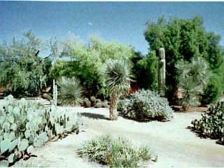 340 N  Indian House Rd, Tucson, AZ 85711
