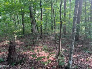 2271 Chapel Dr, Crawford, TN 38554